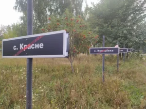 Czarnobyl ponownie źródłem żywności? Naukowcy zaskakują odkryciami